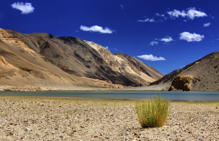 Un quadro di colori intensi prende vita in Ladakh: paesaggi incredibili da vedere almeno una volta nella vita