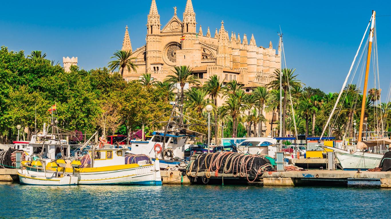 55 € Voli economici da Torino per Palma di Maiorca nel 2024 momondo 55 € Voli economici da Torino per Palma di Maiorca nel 2024 momondo