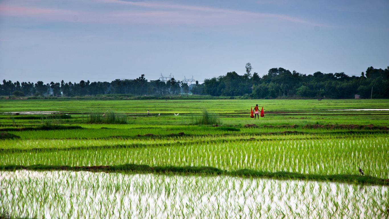 Flights to Bengala Occidentale