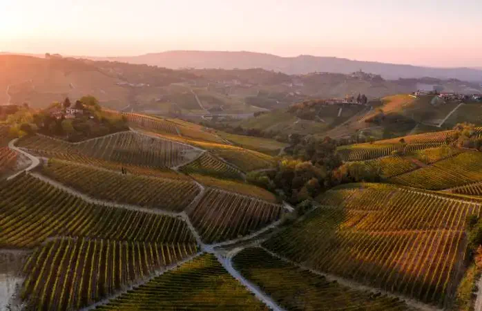 Aerial drone view over the hills of Le Langhe wine region in autumn, Piedmont, Italy