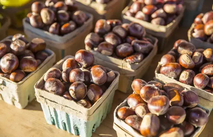 baskets of chestnuts arranged as on a table at a farmers market