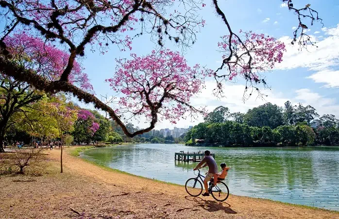 The Ibirapuera Park in Sao Paulo; Shutterstock ID 1156185859