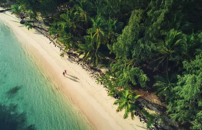 Aerial view of tropical island beach, Dominican Republic