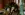 preload