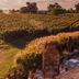 Vista esterna