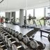 Palestra