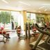 Palestra