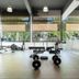 Palestra