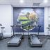 Palestra