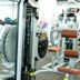 Palestra