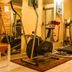 Palestra