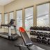 Palestra