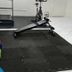 Palestra