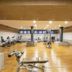 Palestra