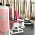 Palestra