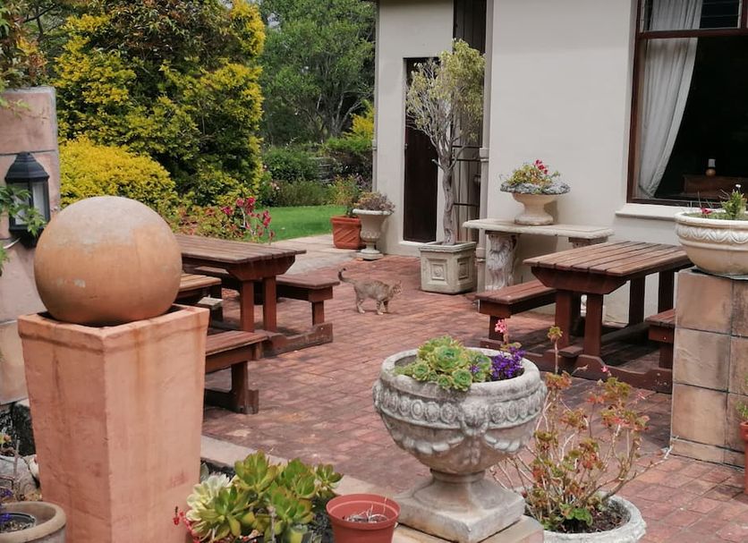 Patio Foto