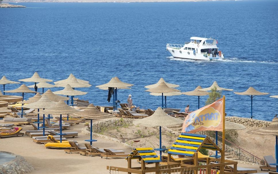 Altro Foto
