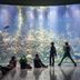 Altro