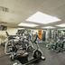 Palestra