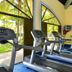 Palestra