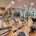Palestra