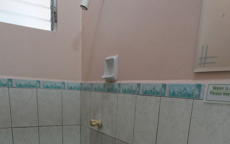 Altro Foto