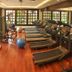 Palestra