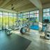 Palestra
