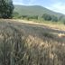 Vista esterna