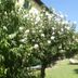 Vista esterna