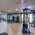 Palestra