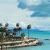 Altro