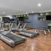 Palestra
