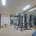 Palestra