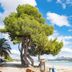 Spiaggia