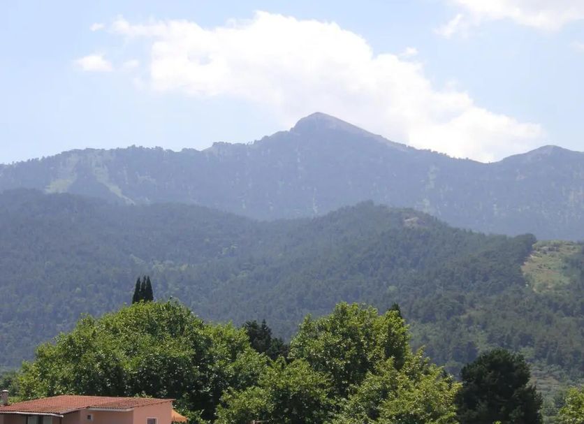 Vista esterna Foto