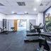 Palestra
