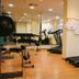 Palestra