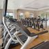 Palestra