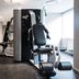 Palestra