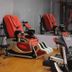 Palestra