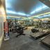 Palestra