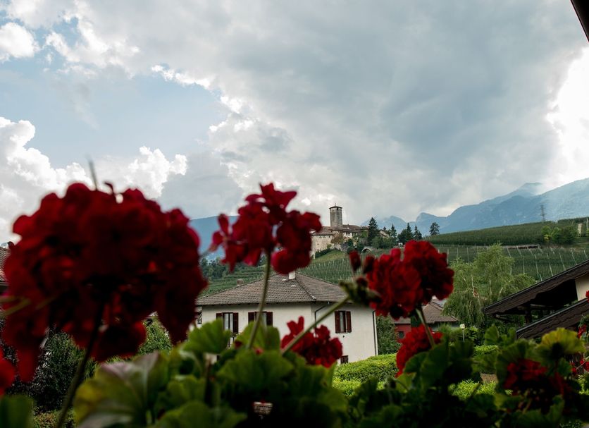 Vista esterna Foto