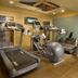 Palestra