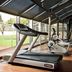Palestra