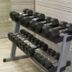 Palestra