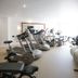 Palestra