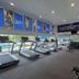 Palestra