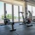 Palestra