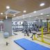 Palestra
